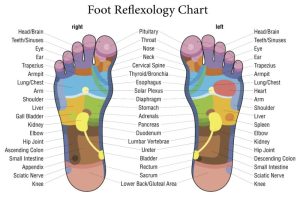 Reflexology therapy